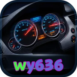 wy636
